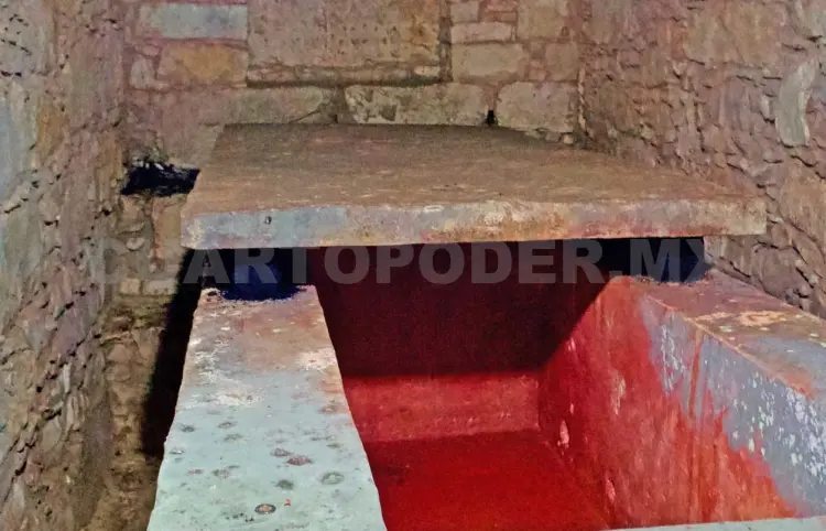 Reconocen a quien descubrió la Reina Roja