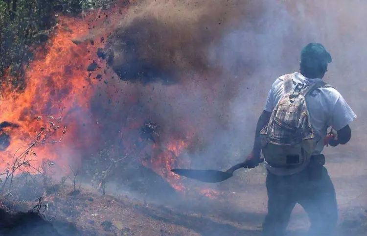 Aumentan 5 % los incendios forestales