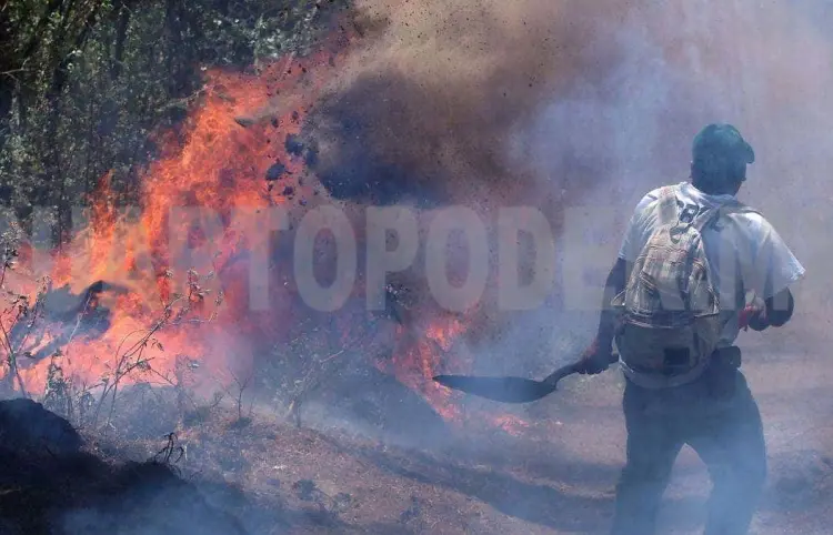 Aumentan 5 % los incendios forestales