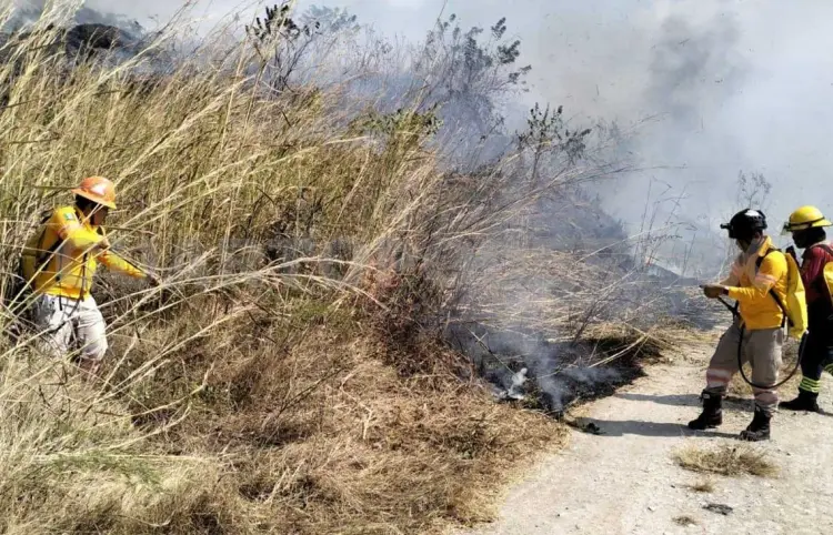 Ante presencia de humo emiten recomendaciones