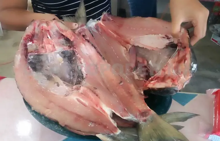Denuncian presunta venta de pescado descompuesto