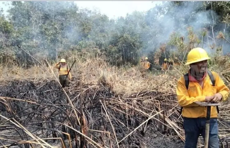 Caza furtiva y quemas: la mayor causa de incendios