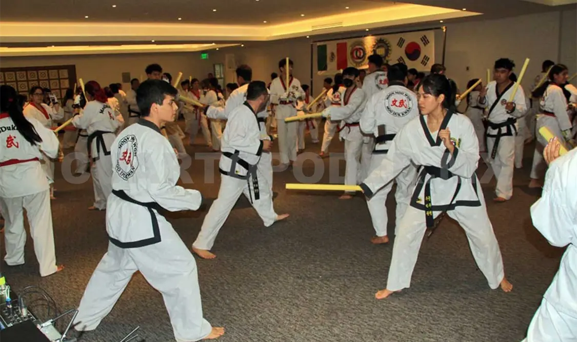 Moo Duk Kwan Chiapas organizó seminario