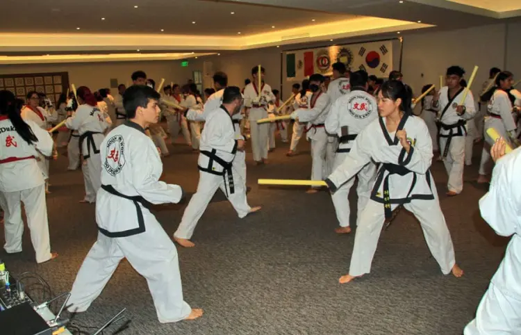 Moo Duk Kwan Chiapas organizó seminario