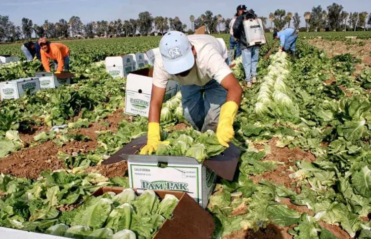 Estamos abiertos al diálogo con Trump sobre migración