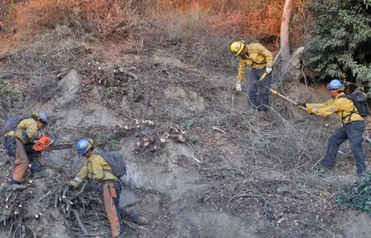 Combatientes mexicanos extinguen ocho focos de calor