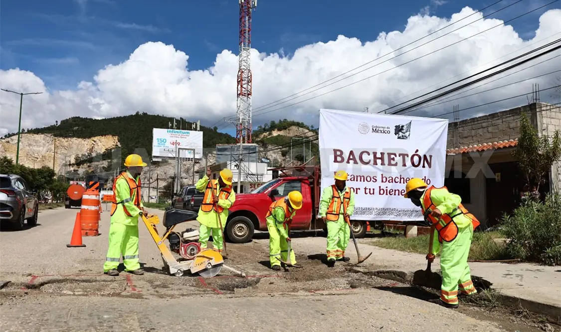 Bachetón, con avance de más del 50 % en Chiapas