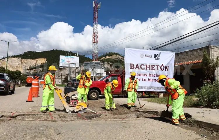 Bachetón, con avance de más del 50 % en Chiapas