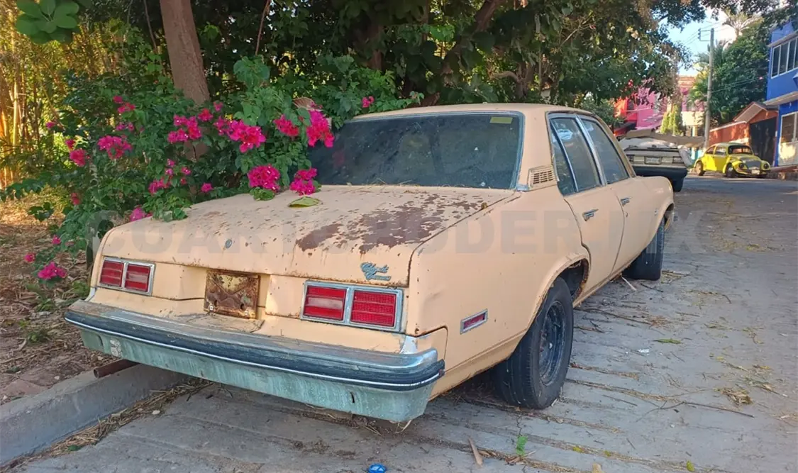 Vehículos abandonados podrán ser reportados