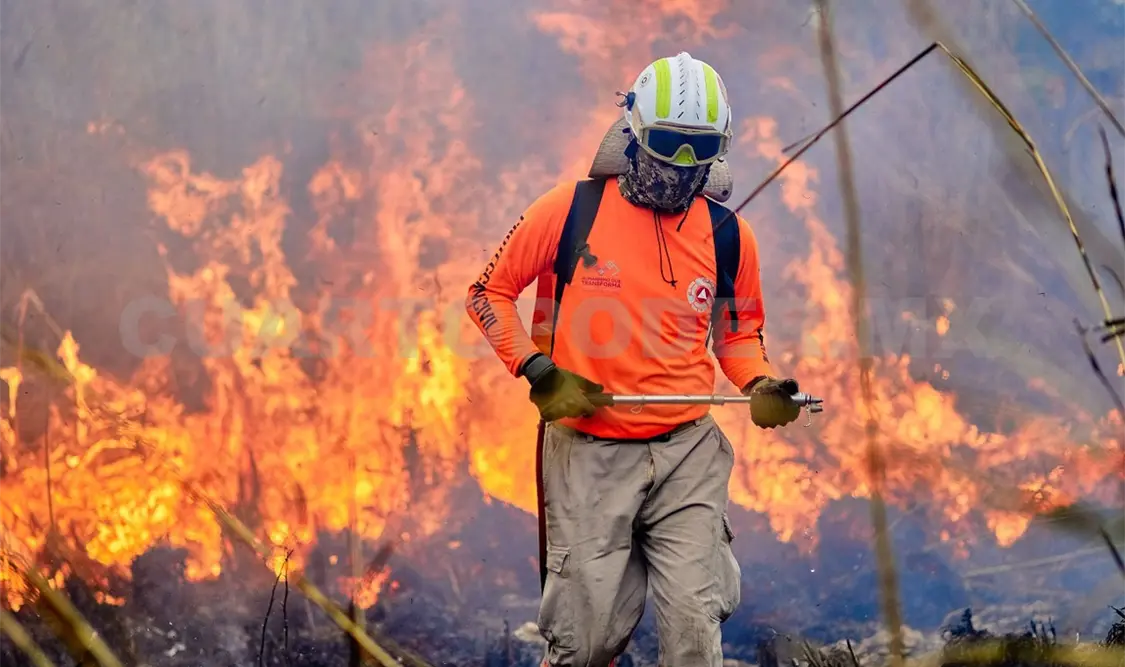 Exhortan a reducir riesgos ante los incendios forestales