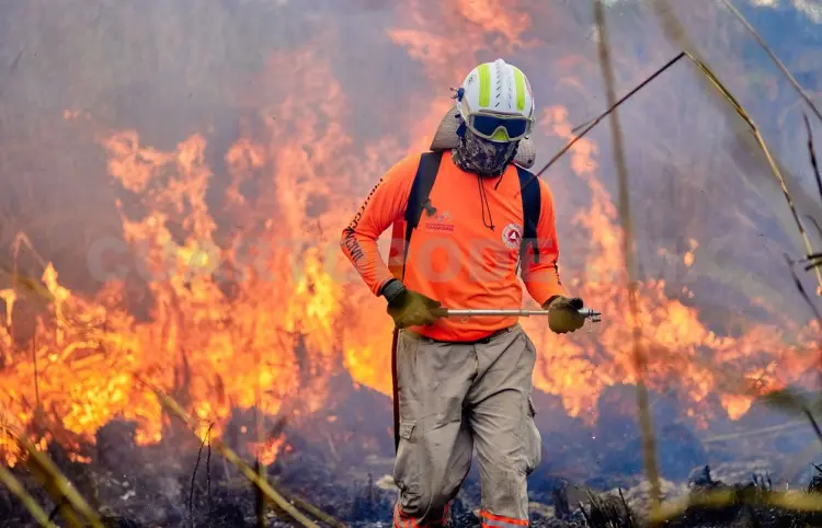 Exhortan a reducir riesgos ante los incendios forestales