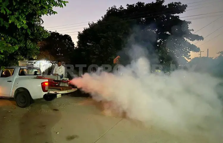 Intensifican acciones contra el dengue y paludismo
