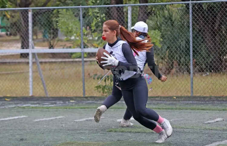 Definen a los monarcas en mixtas A y B