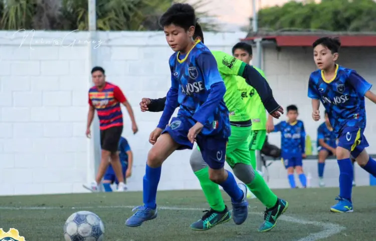 Definidos los finalistas en la Liga Palapa