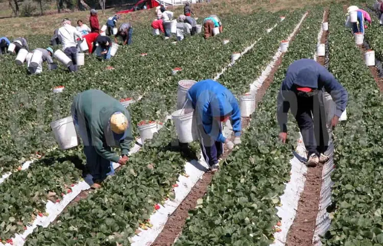 Consulados preparados para defender a mexicanos