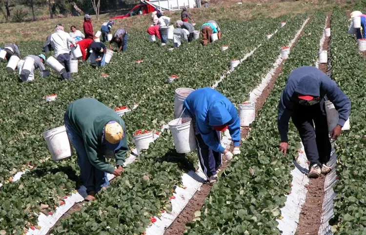 Consulados preparados para defender a mexicanos