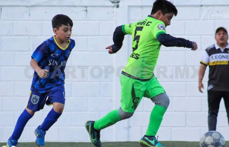 Definidos los finalistas en la Liga Palapa