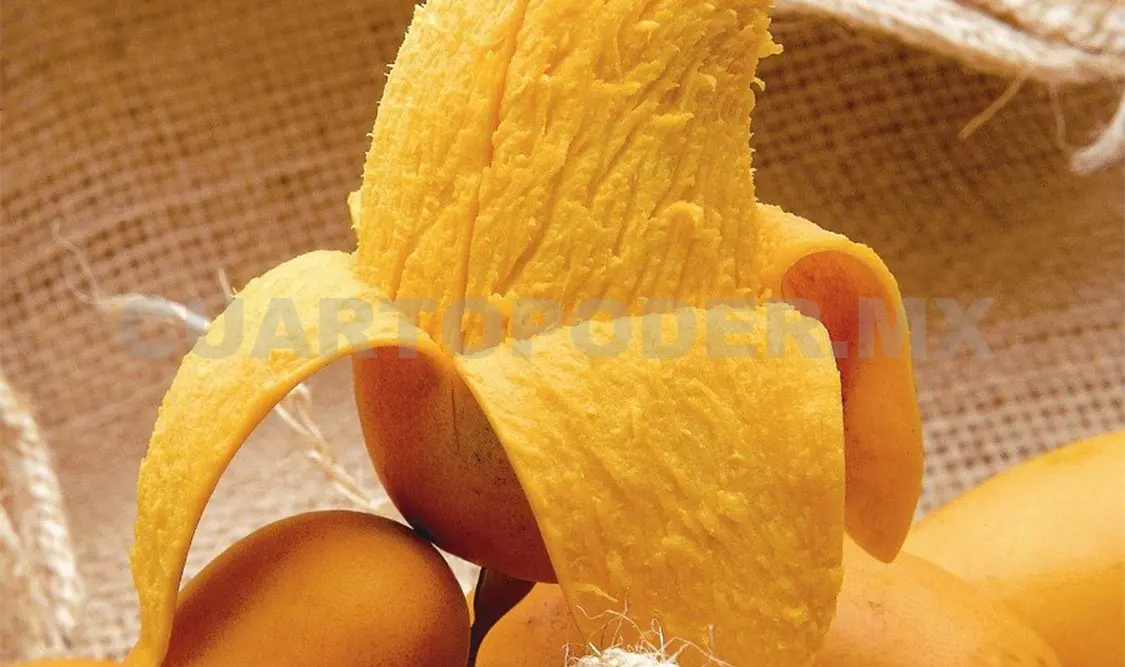 Estiman caída del 30 % en la producción de mango Ataulfo