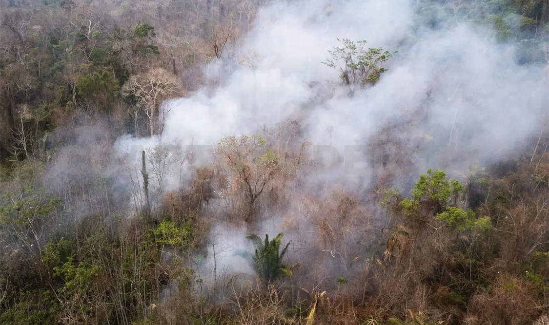 Exploran proyecto sobre manejo del fuego