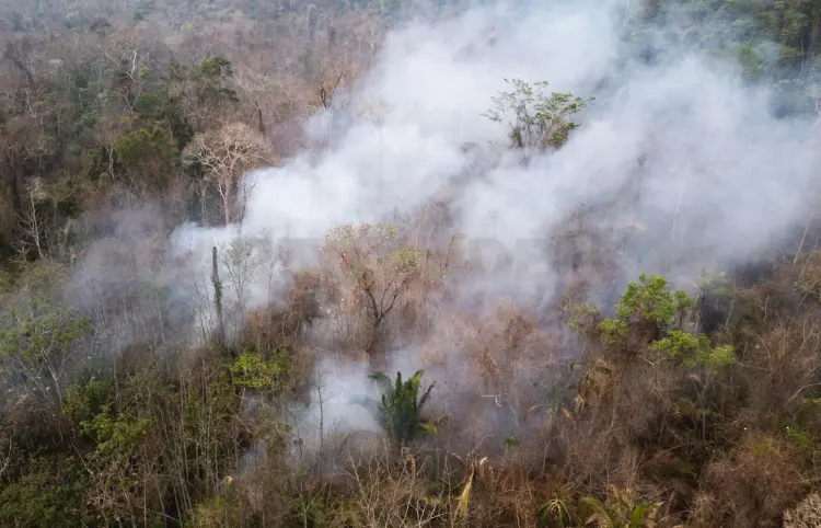 Exploran proyecto sobre manejo del fuego
