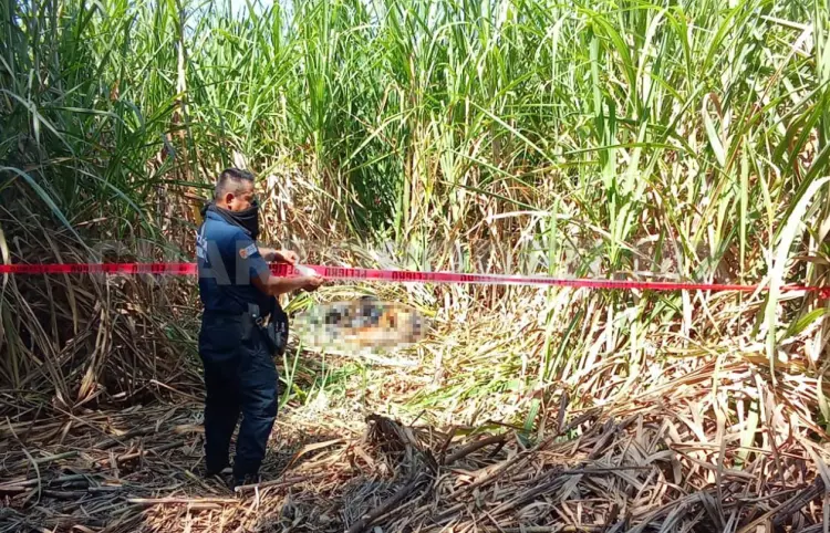 Torturan y matan a cuatro; fueron dejados en plantío