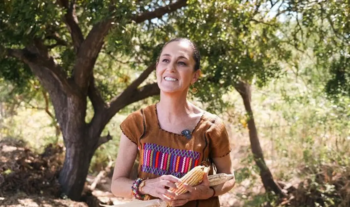 Sheinbaum reitera protección a maíz mexicano