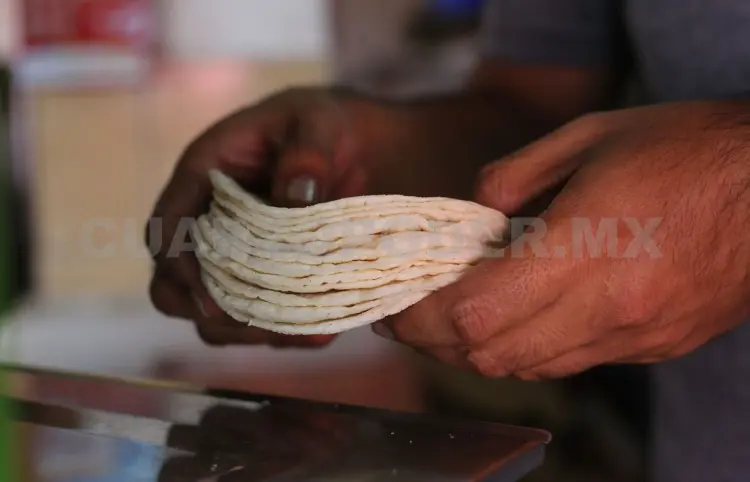 Tortilleros mantendrán precio del kilogramo