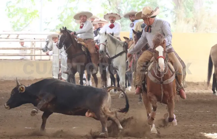 Un éxito la IV Fiesta Dorada