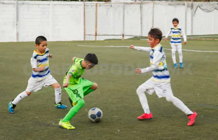 Definen a los campeones de la Liga Tux 7