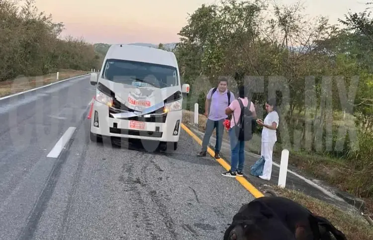 Se atraviesa un semoviente, lo embiste y lo mata