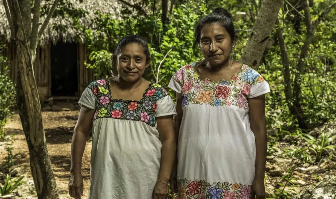 Avanza en San Lázaro proyecto de Sheinbaum