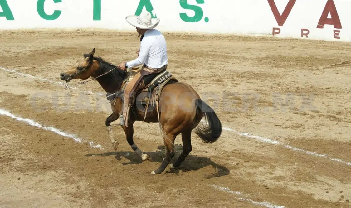 Team Roping arranca con gran respuesta