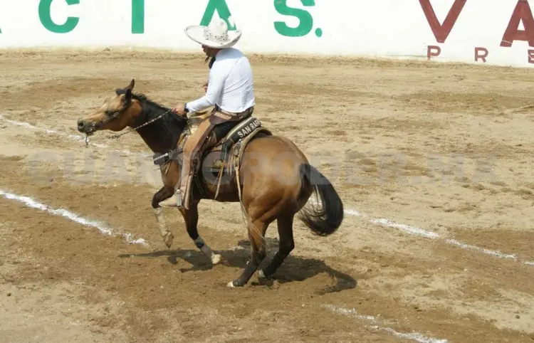Team Roping arranca con gran respuesta
