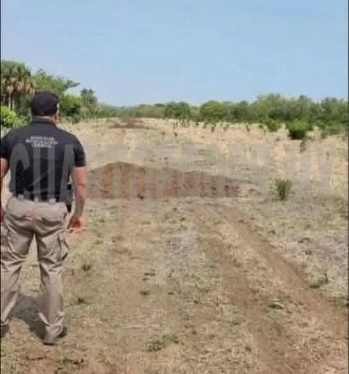 Localizan pista clandestina en la región Istmo-Costa