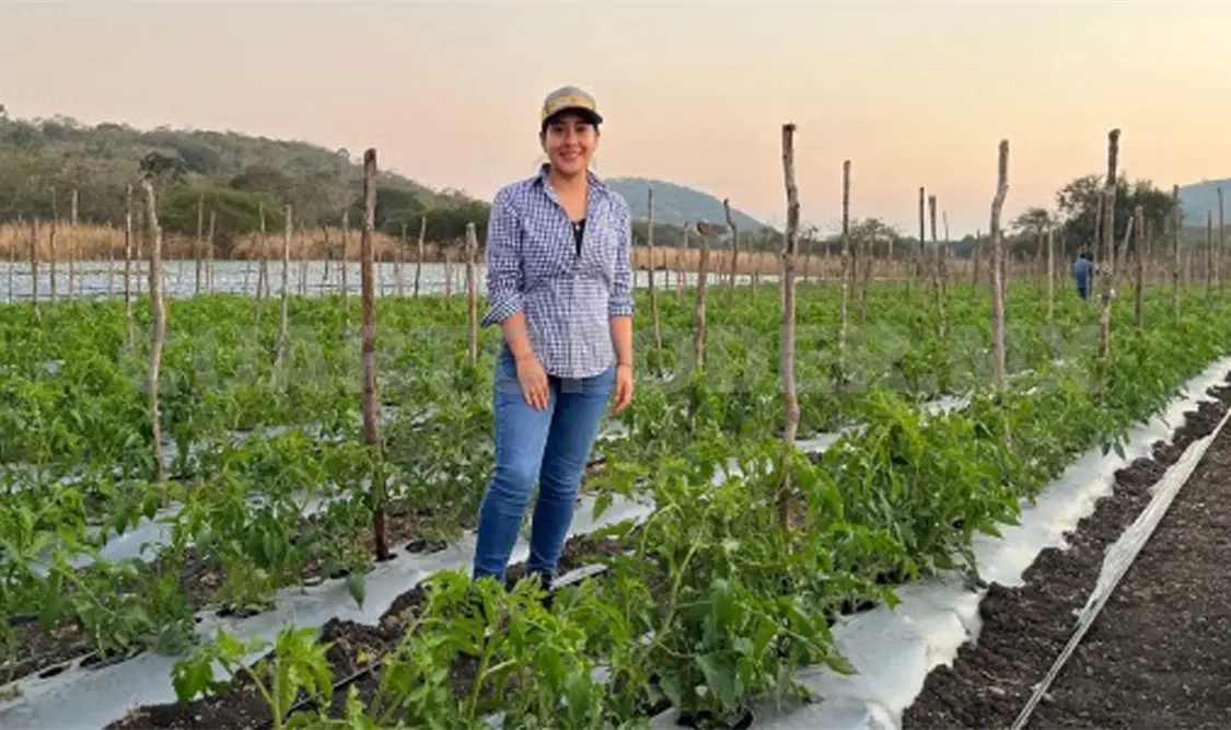 Cepas bacterianas mejoran la producción agrícola