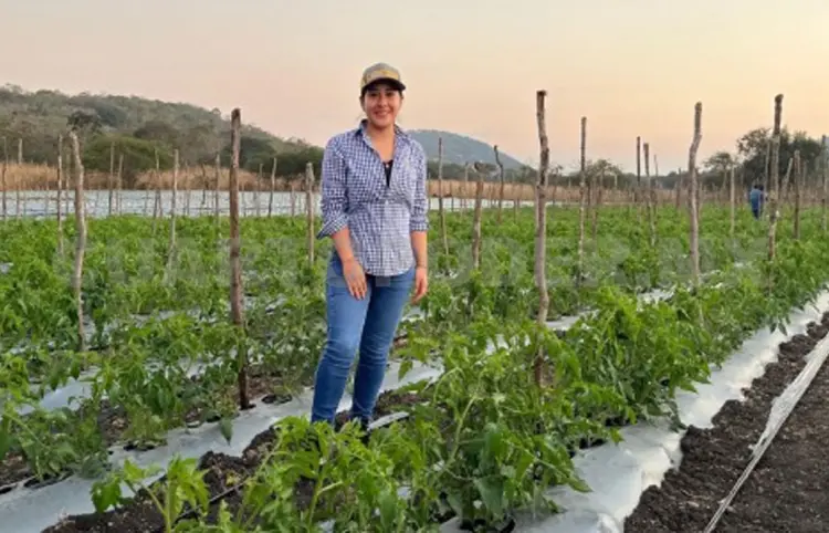 Cepas bacterianas mejoran la producción agrícola
