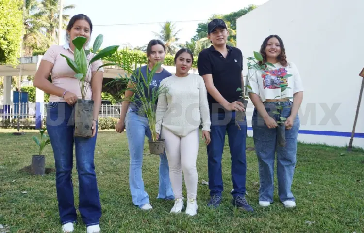 Ponen en marcha programa de reforestación