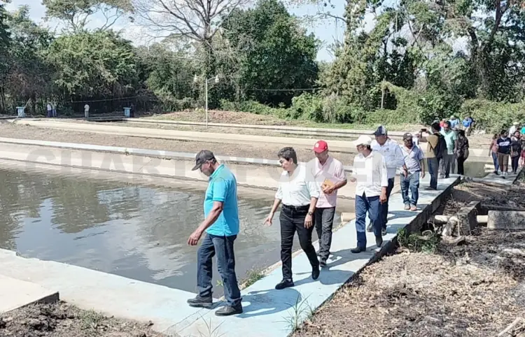 Reactivarán centros piscícolas estatales