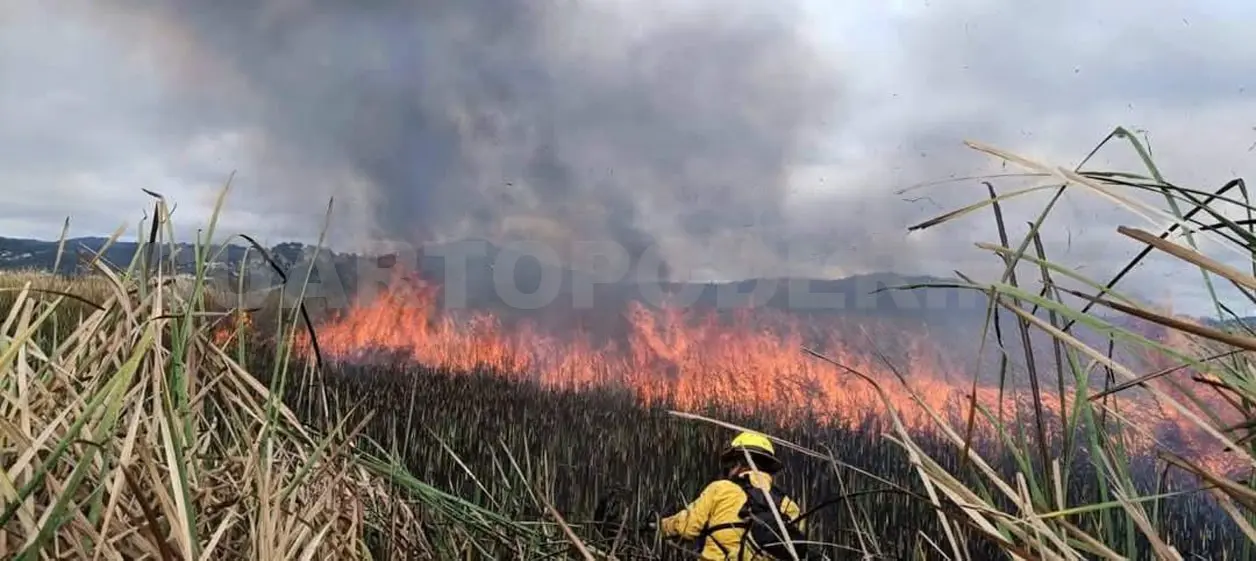 Se queman 25 hectáreas en los humedales La Ciénega