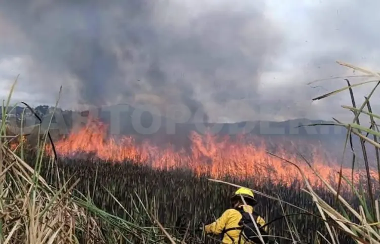 Se queman 25 hectáreas en los humedales La Ciénega