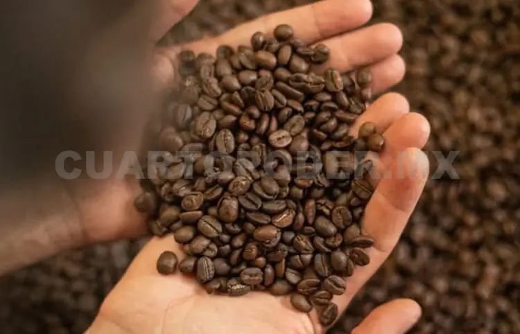 Precio del café arábigo sigue subiendo