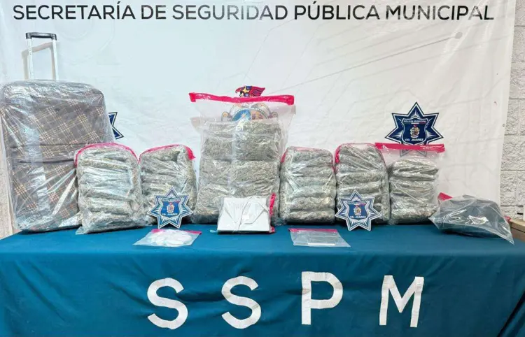 Aseguran miles de pastillas de fentanilo en 2024