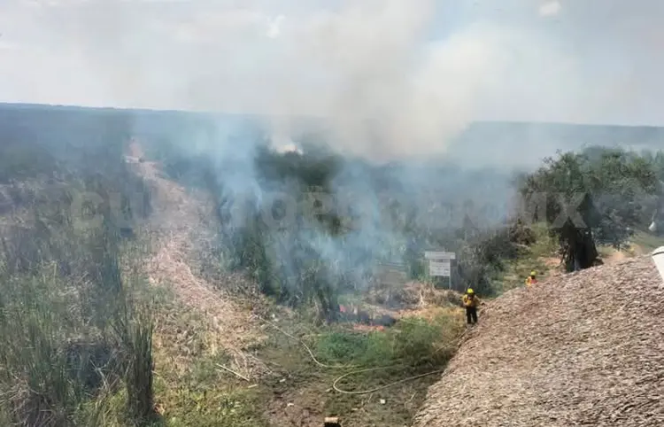 Mantienen alerta por riesgo de incendios forestales
