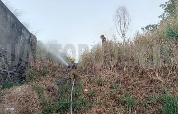 Sofocan incendio de pastizales atrás de albergue