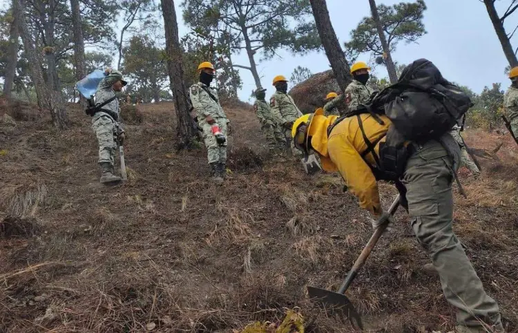 Pronostican intensa temporada de incendios