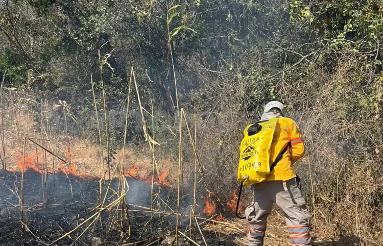 Crean brechas cortafuego ante estiaje en Tuxtla