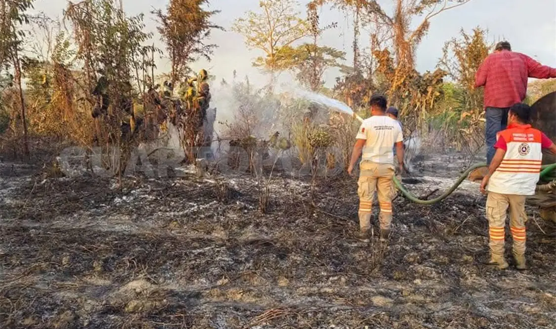 Cazadores furtivos provocan incendio