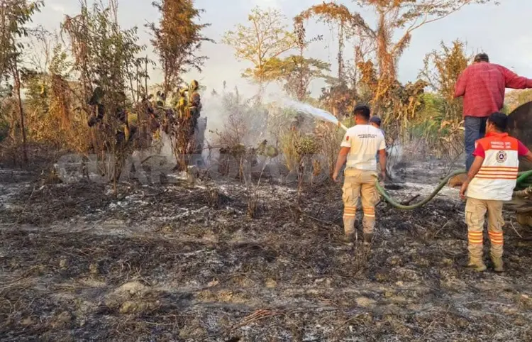 Cazadores furtivos provocan incendio