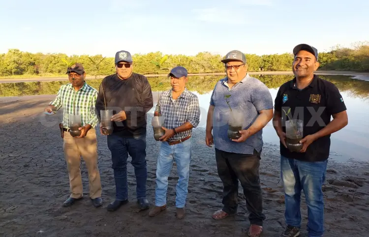 Realizan reforestación en Laguna Pampa Cabildo