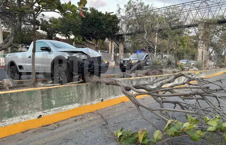 Colisiona contra un árbol y conductor se fuga